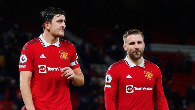 公司应当及 公司应当及